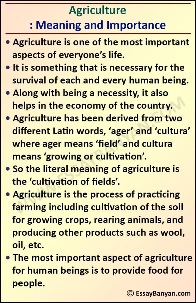 essay about what is agriculture