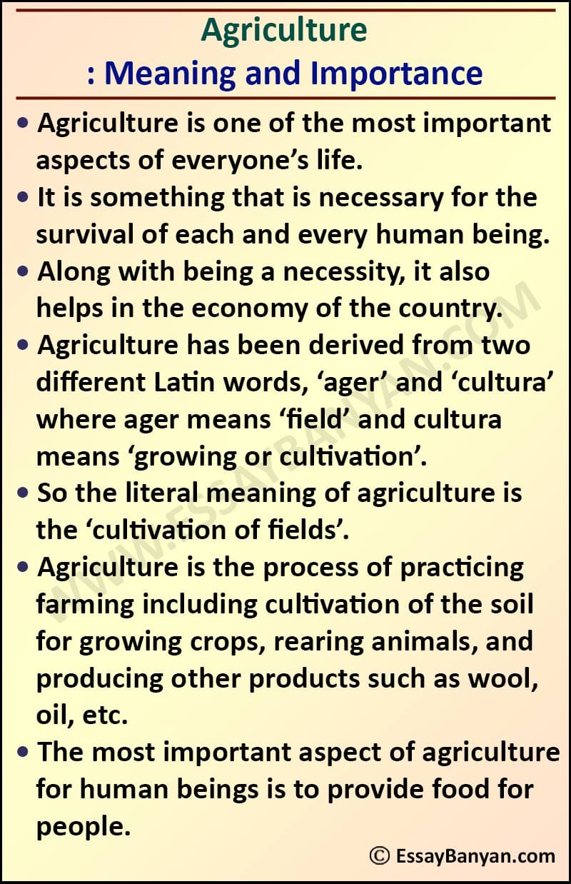 Essay on Agriculture for all Class in 100 to 500 Words in English
