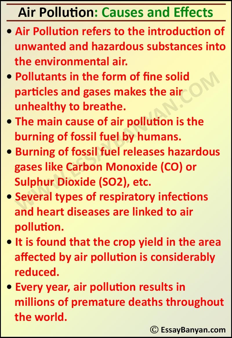 Essay on Air Pollution