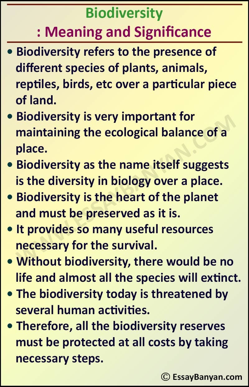Short And Long Essay On Biodiversity For Students