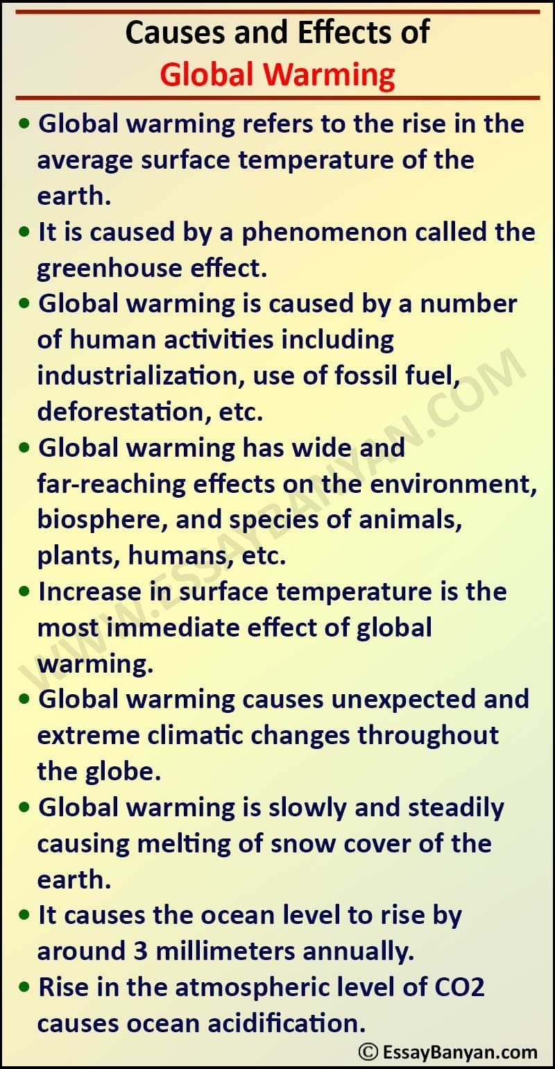 Causes and Effects of Global Warming Essay