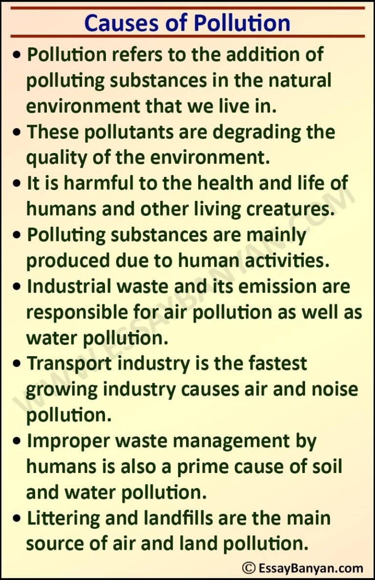 essay on pollution class 9