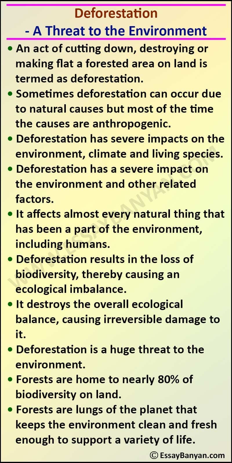 destroying the environment essay