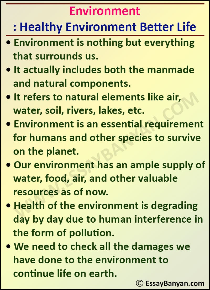 essay on environment for class 10th