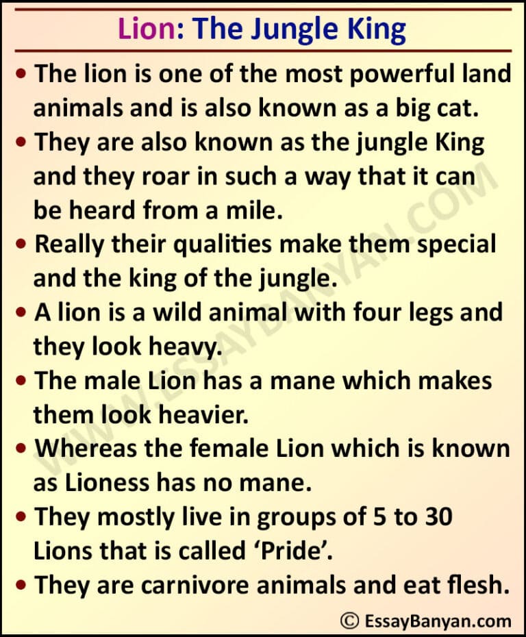 how do you write a lion essay