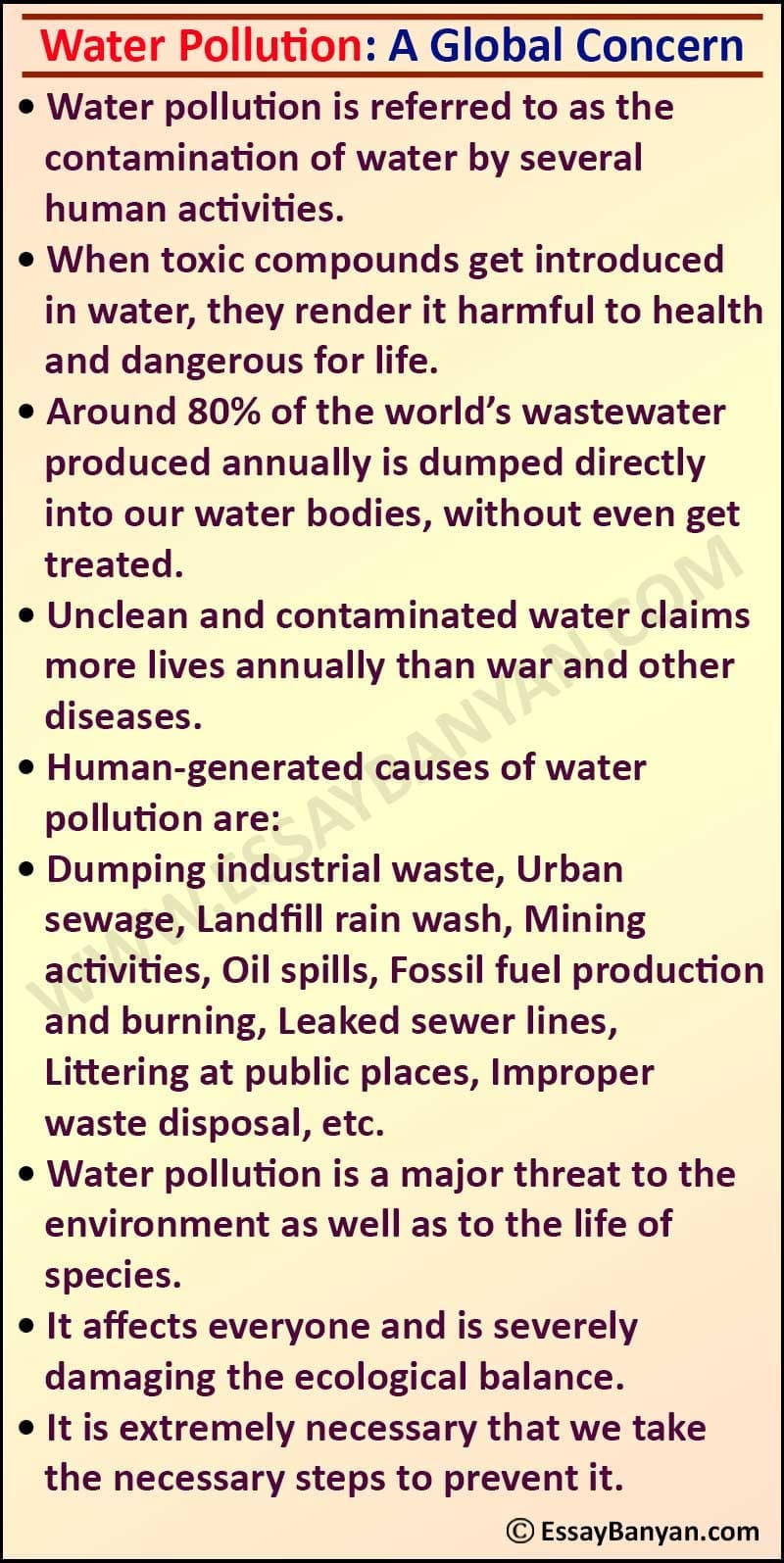 Essay on Water Pollution