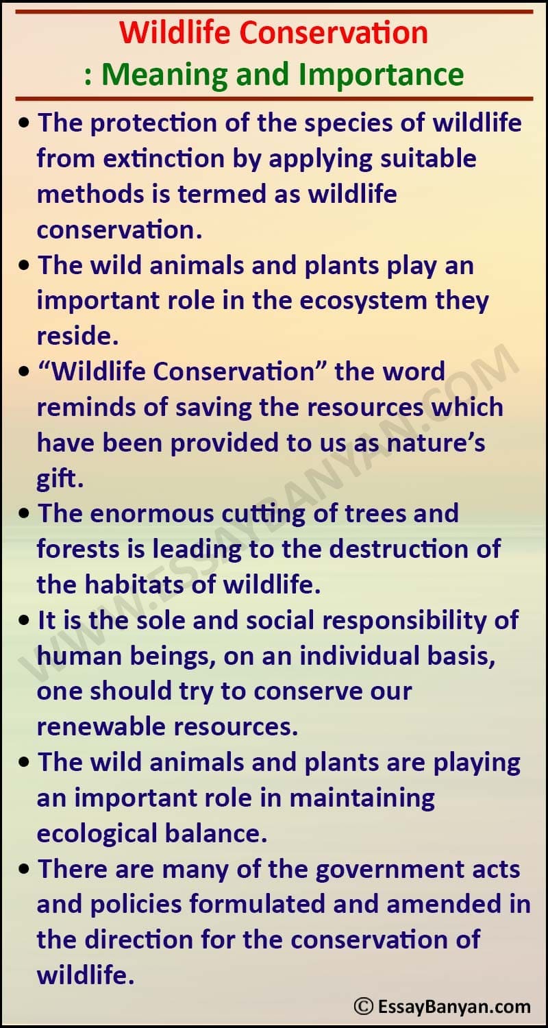 Essay on Wildlife Conservation for all Class in 100 to 500 Words in English