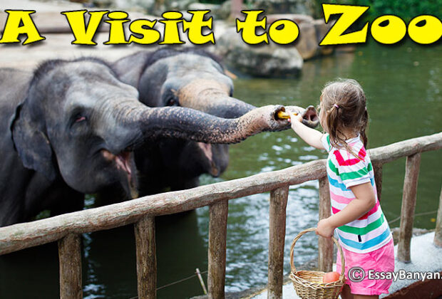 A Visit to Zoo