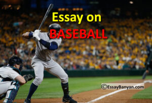 informative essay about baseball