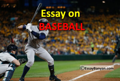 Essay on Baseball