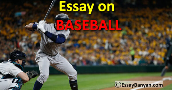baseball informative essay