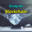 Essay On Blockchain