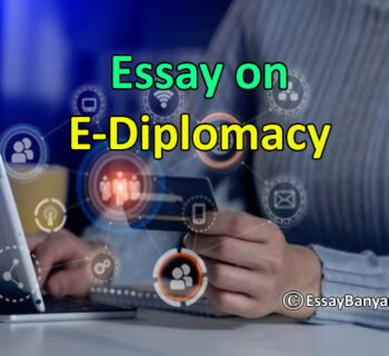 Essay on E-Diplomacy