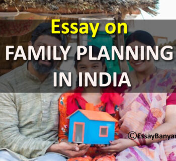Essay on Family planning in India