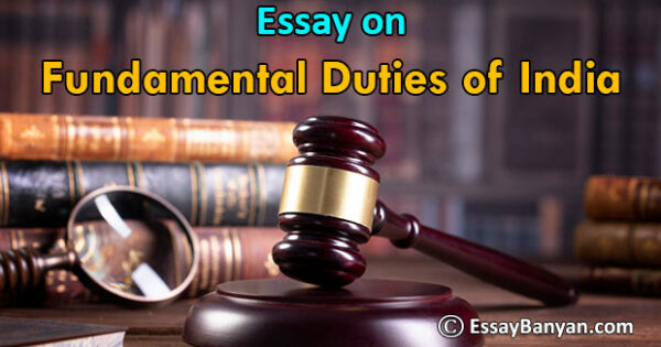 an essay about fundamental duties