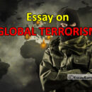 Essay On Global Terrorism