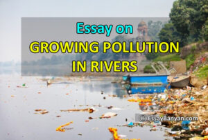 polluted river essay