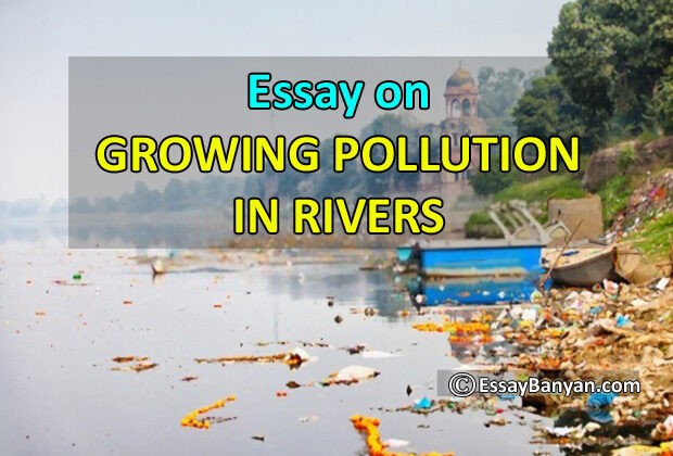 Growing Pollution in River