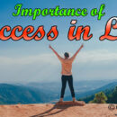 Importance of Success in Life