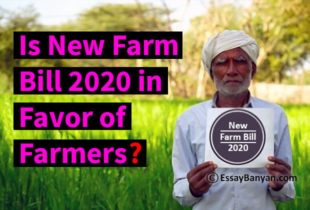 Essay on Is New Farm Bill 2020 in Favor of Farmers