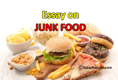 Essay On Junk Food