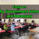 Essay on Why Government Schools are Necessary