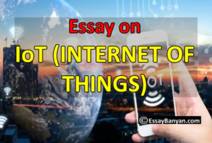 essay for internet of things