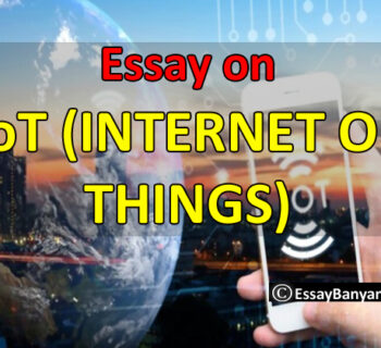 Essay on IoT Internet Of Things